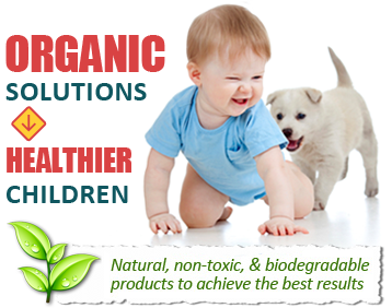 eco friendly cleaning eco friendly cleaners